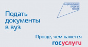 Поступить в вуз стало проще: абитуриенты Тамбовской области используют госуслуги