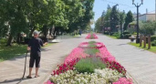 Глава администрации Тамбова поручил усилить полив городских клумб