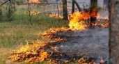 В Тамбовской области объявлен 4 класс пожарной опасности: жителей призывают к осторожности