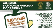 Участники СВО и их семьи могут получить круглосуточную помощь психолога в специальном чате