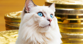 Кошки, которые способны «привести» богатство: самые счастливые породы по мнению эзотериков