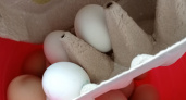 Почему нельзя есть яйца, сваренные вкрутую: жаль, что не знала об этом до 40 лет
