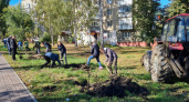 В Тамбове в рамках акции «Зелёный пояс» высадили 50 новых деревьев