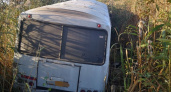 Под Мичуринском рейсовый автобус оказался в кювете: есть пострадавшие