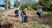 Глава администрации Тамбова призвал жителей проводить субботники по правилам