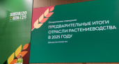Тамбовская область завершает уборочную кампанию: собрано свыше 4,3 млн тонн зерна