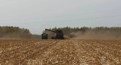 Аграрии Тамбовской области завершают уборку урожая: собрано почти 5 миллионов тонн зерна