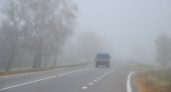 ГИБДД Тамбовской области предупреждает водителей о тумане и призывает соблюдать осторожность