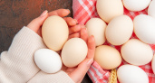 Работники птицефабрик никогда не берут яйца в магазинах категории СО: лучше обходить их стороной - причину запомните навсегда