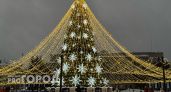 Городскую елку в Тамбове планируют установить 20 декабря
