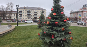В Тамбове на Привокзальной площади украсили молодые ели к Новому году