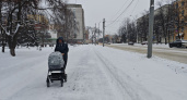 Мороз и снег: в Тамбове в ближайшие дни сохранится зимняя погода