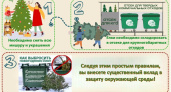 В Тамбове напомнили, как правильно утилизировать живые новогодние ёлки