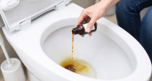 Заливаю йод в унитаз и больше не трачусь на химию: результат виден уже утром - ни щётки, ни дорогих средств