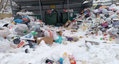 Свалка у дома: тамбовчане жалуются на хаос с вывозом мусора