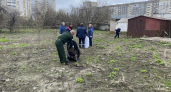Около 650 человек вышли на первый в сезоне День ударного труда в Тамбове