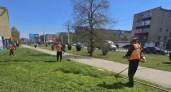 В Тамбове коммунальные службы вышли на покос травы