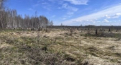В Тамбовской области выявили более 2 тысяч гектаров заброшенных сельхозземель