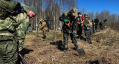 Тамбовские поисковики вернулись из экспедиций с находками времен Великой Отечественной войны