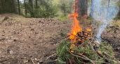 Жаркая погода в Тамбовской области привела к введению наивысшего уровня пожарной опасности