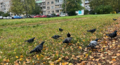 Грядет самая странная осень за весь 21 век: метеорологи выставили прогноз для россиян
