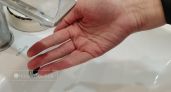 Мэр Тамбова просит не поливать огороды, а в домах нет воды, чтобы искупать детей: когда закончится коммунальный коллапс?