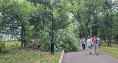 Им не нужны доказательства: 5 знаков зодиака, которые чувствуют обман за 10 секунд