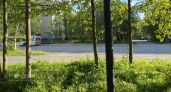 Эксперты прогнозируют переменчивую летнюю погоду в Тамбове 26 июля