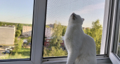 Ручка на пластиковом окне не поворачивается до конца? Не ломайте пластик — делюсь секретом регулировки без вызова мастера