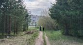 В лесах Тамбова создают щит от огня