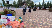 Благотворительный концерт в Тамбове помог собрать 300 килограммов корма для бездомных животных