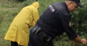 В Тамбовской области уничтожили  2700 «квадратов» наркотической травы