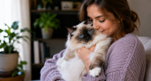 4 породы кошек, которые привязываются к человеку больше других: для тех, кто ищет верного друга