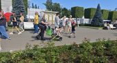 Погода в Тамбове в пятницу, 21 августа