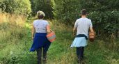 «Токсины не разрушаются при варке»: как не повторить судьбу девяти тамбовчан, отравившихся грибами