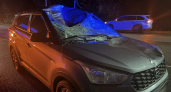 Лось выбежал под колёса Hyundai на трассе под Тамбовом: водитель попал в больницу
