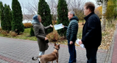 В Тамбове владельцам собак напомнили о штрафах до 1500 рублей за нарушение правил выгула