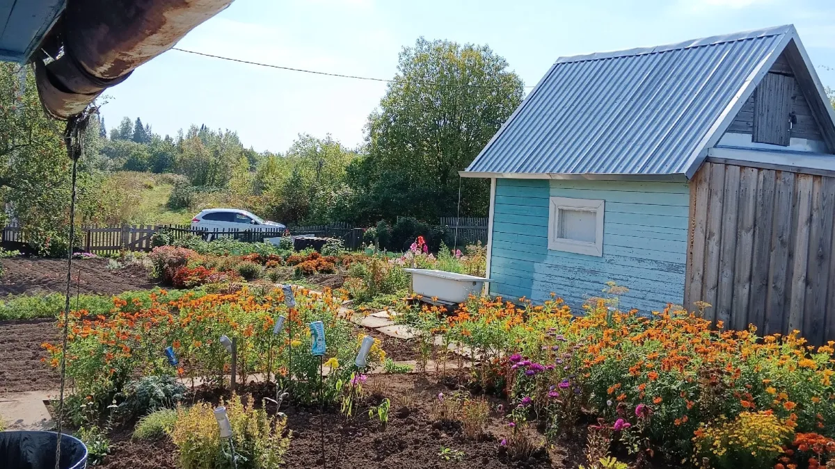 Фундамент трескается из-за этих ошибок: 4 простых совета помогут сэкономить сотни тысяч рублей