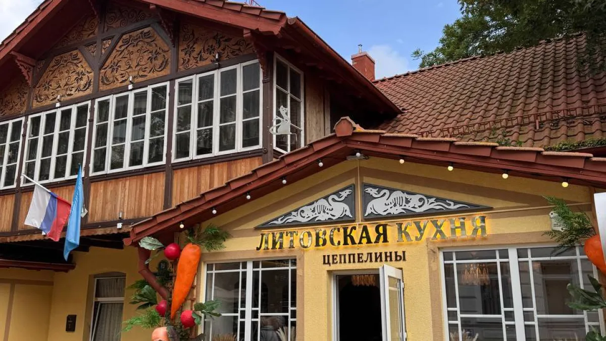 Влюбилась с первого взгляда: один из самых красивых городов России спрятался на берегу Балтики - там много котиков и немецких зданий