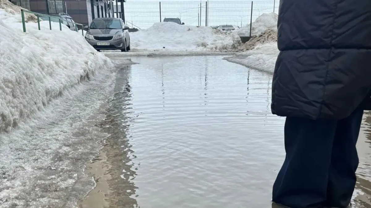 В Тамбове после жалобы жителей на подтопление двора расчистили въезд к дому на улице Свободной