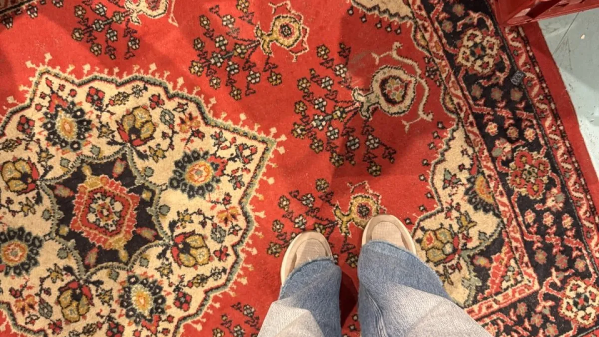 Пылесос больше не спасает ковёр: хозяйки просто рассыпают этот порошок и ждут 10 минут - результат идеальный