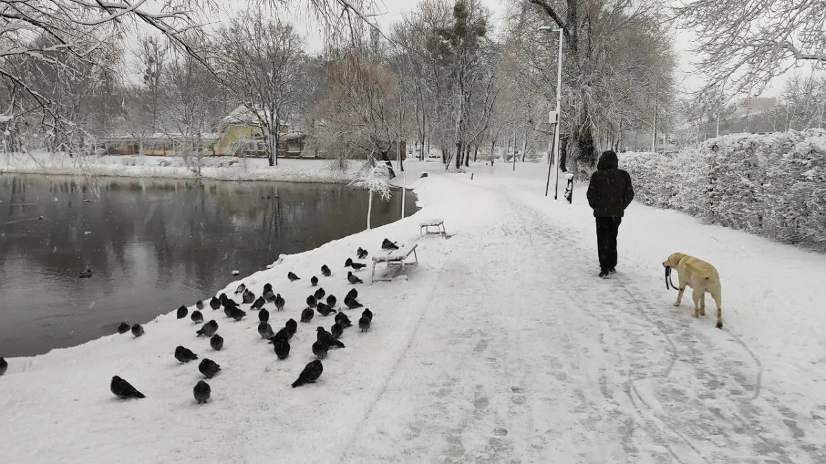Почему с возрастом лучше держаться от людей на расстоянии: мудрые строки Юрия Левитанского - до мурашек