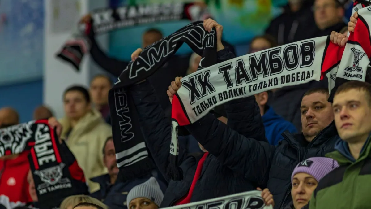 В рамках регулярного чемпионата ВХЛ команда «Тамбов» потерпела поражение от красноярского «Сокола»
