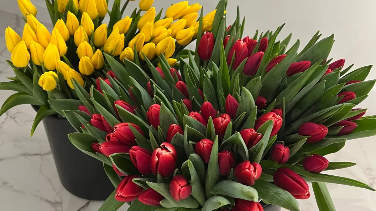 Подарили тюльпаны на 8 Марта - не спешите ставить в вазу: 5 правил, чтобы букет стоял неделями