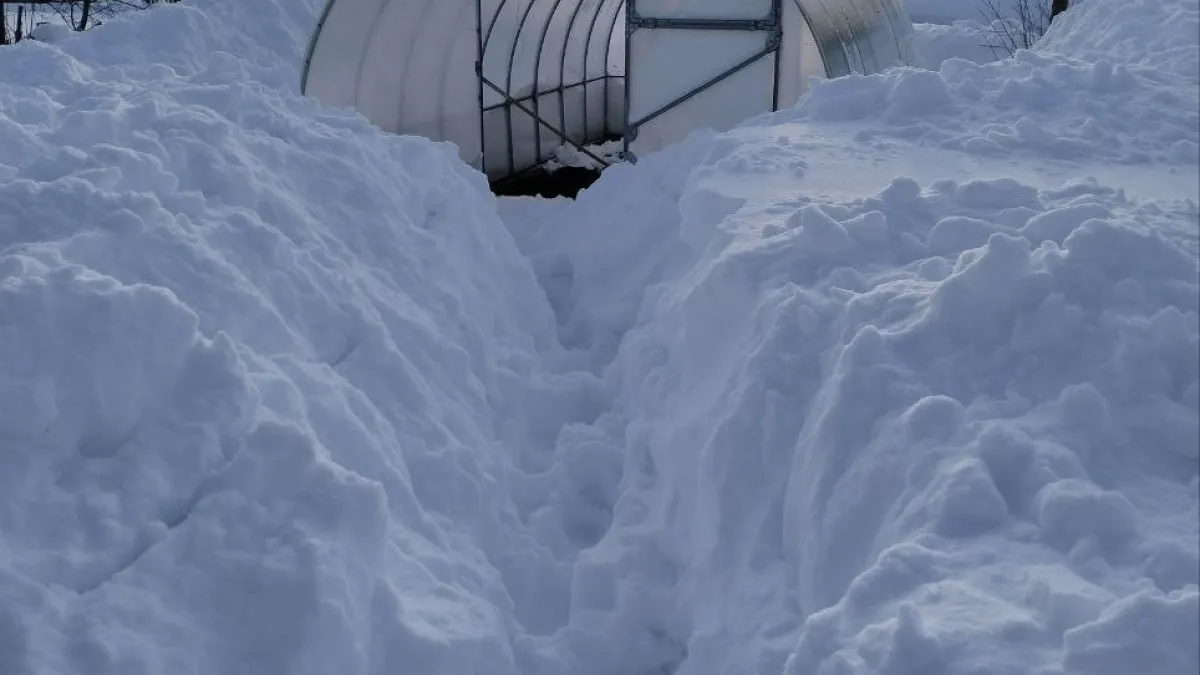 Дачников напугали налогом на теплицы в 2026 году: кому действительно придётся платить, а кому - нет