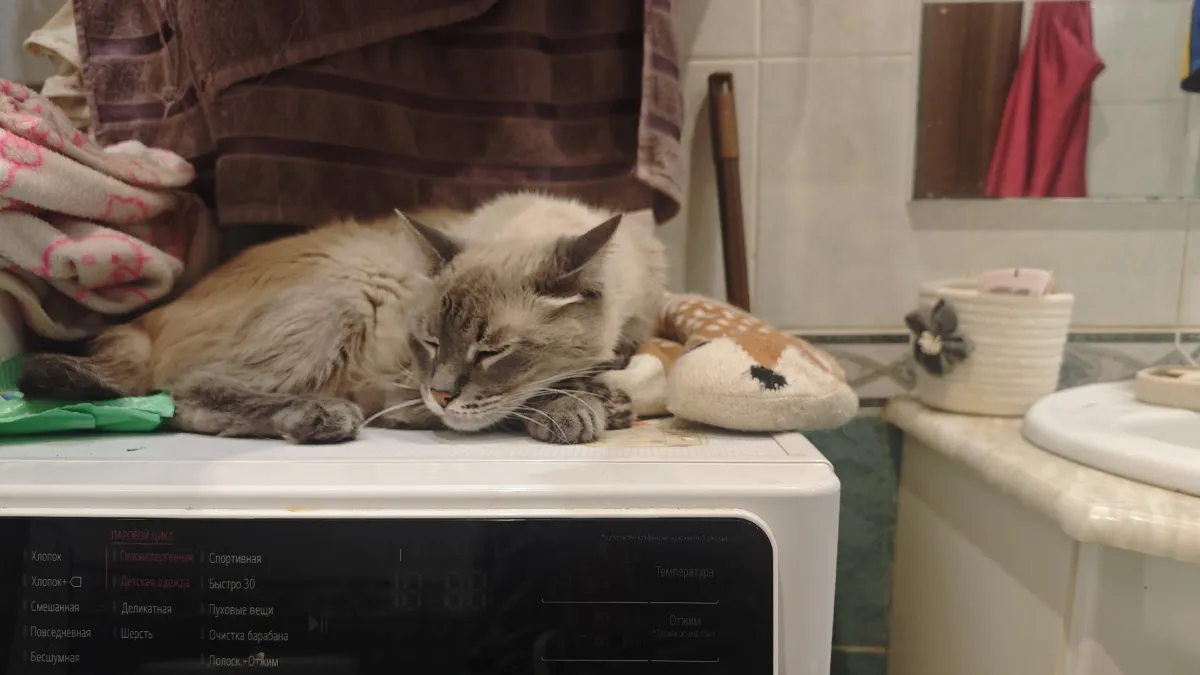 Какие вещи в доме сразу выдают неряшливую женщину: не следит за ними - не следит и за собой