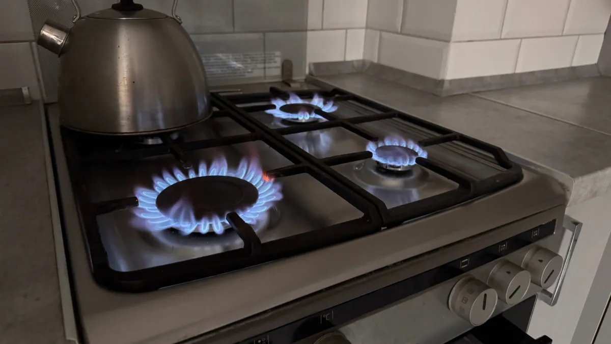 С марта действуют новые требования к владельцам газовых плит в квартирах: что важно знать – запреты и штрафы