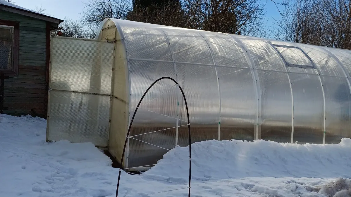 Бесполезная трата сил или польза для почвы: нужно ли на самом деле набрасывать снег в теплицу