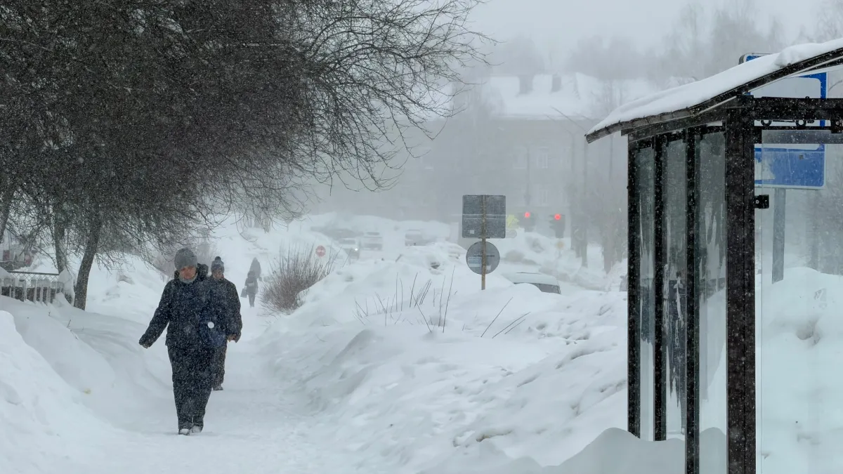 В Тамбовской области неделя начнётся со снегопадов и морозов до −15, а затем придёт резкое потепление