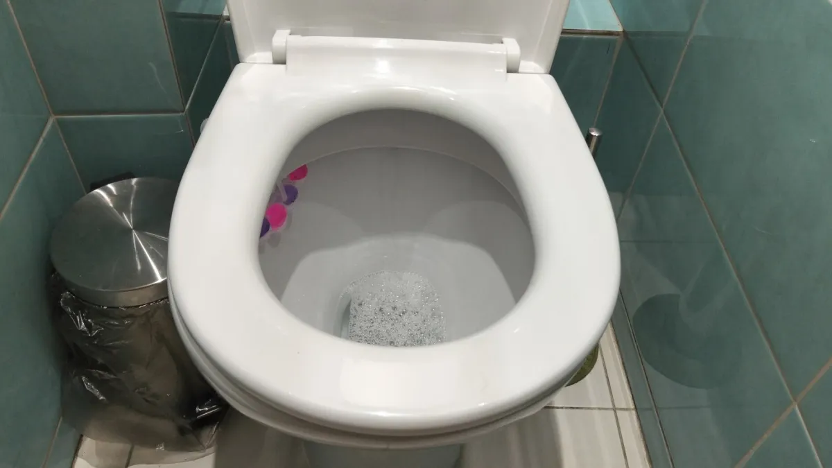 Секрет белоснежного унитаза без щётки: просто насыпьте это перед сном - утром наслаждайтесь идеальной чистотой и ароматом